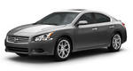 Nissan maxima None