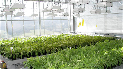 Fraunhofer IME Continental tires